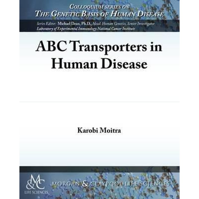 预订，预计下单后2-3周左右发货！