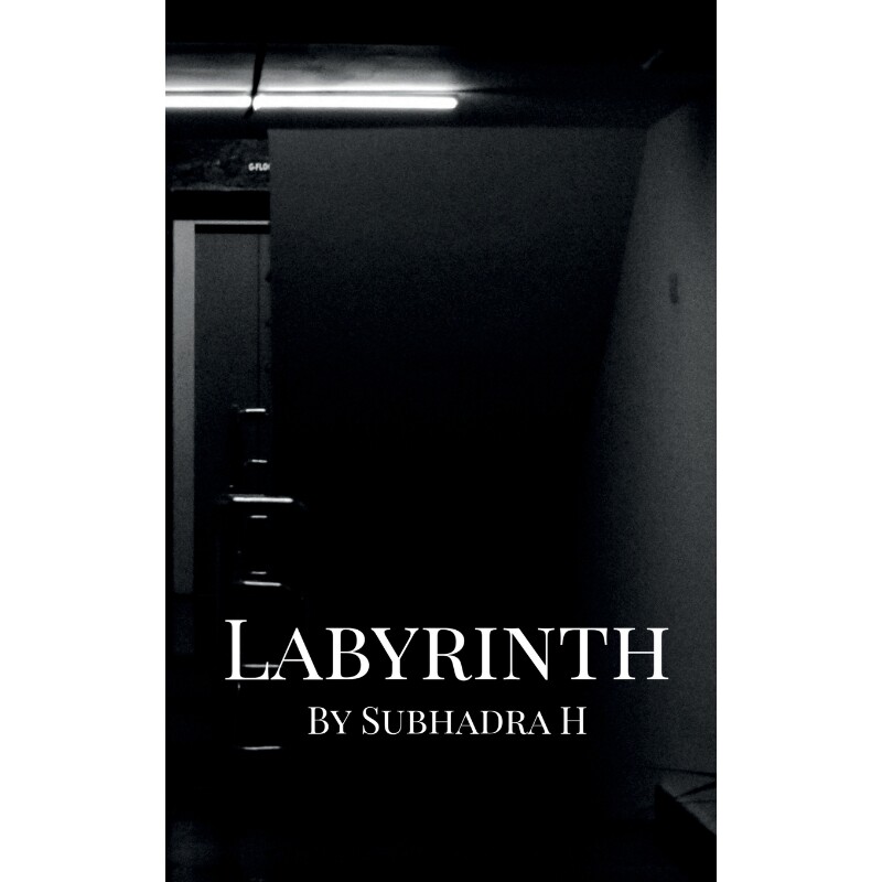 按需印刷不退不换Labyrinth[9781685384715]