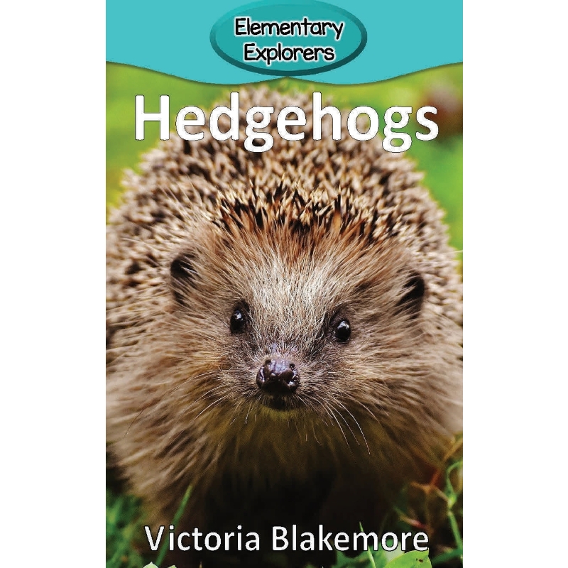 预订，预计下单后2-3周左右发货！