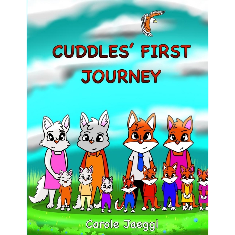 预订，预计下单后2-3周左右发货！