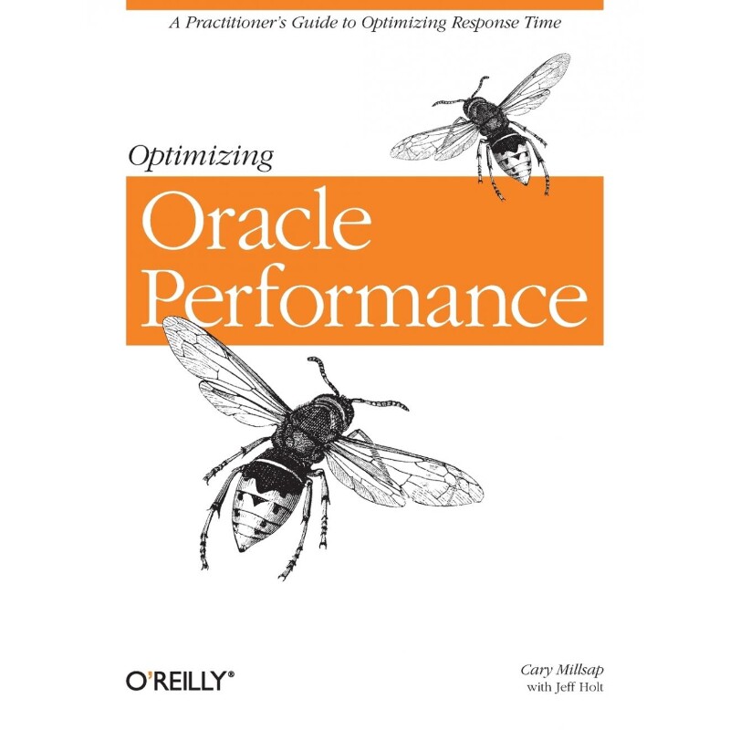 按需印刷不退不换Optimizing Oracle Performance[9780596005276]
