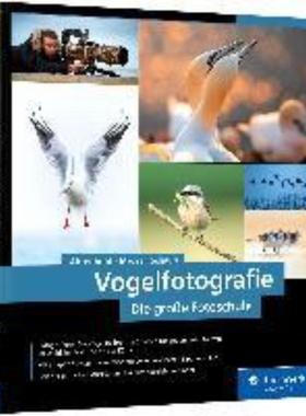 预订【德语】 Vogelfotografie:Die große Fotoschule. Ihr praktischer Einstieg: Ausrüstung, Aufnahm