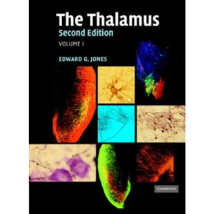Hardback 预订The Volume Set Thalamus