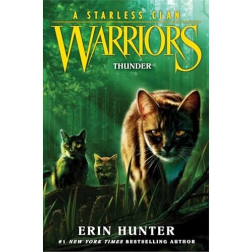 现货 英文原版 猫武士 无星氏族 无星战队4 雷电 Warriors: A Starless Clan #4: Thunder [9780063050297]