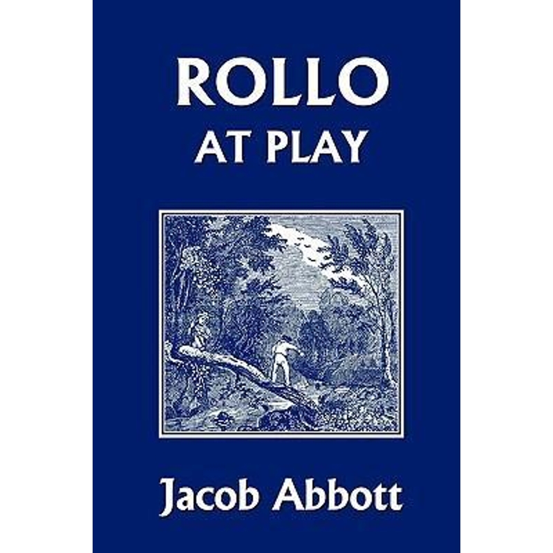 预订，预计下单后2-3周左右发货！