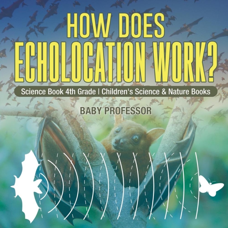 预订how does echolocation work?