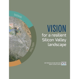 resilient for 9780990898542 按需印刷Vision landscape Silicon Valley