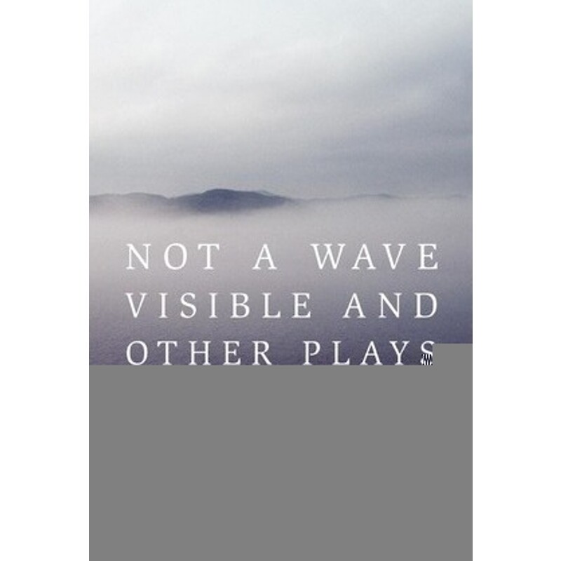 按需印刷不退不换Not a Wave Visible and other plays[9781456867997]
