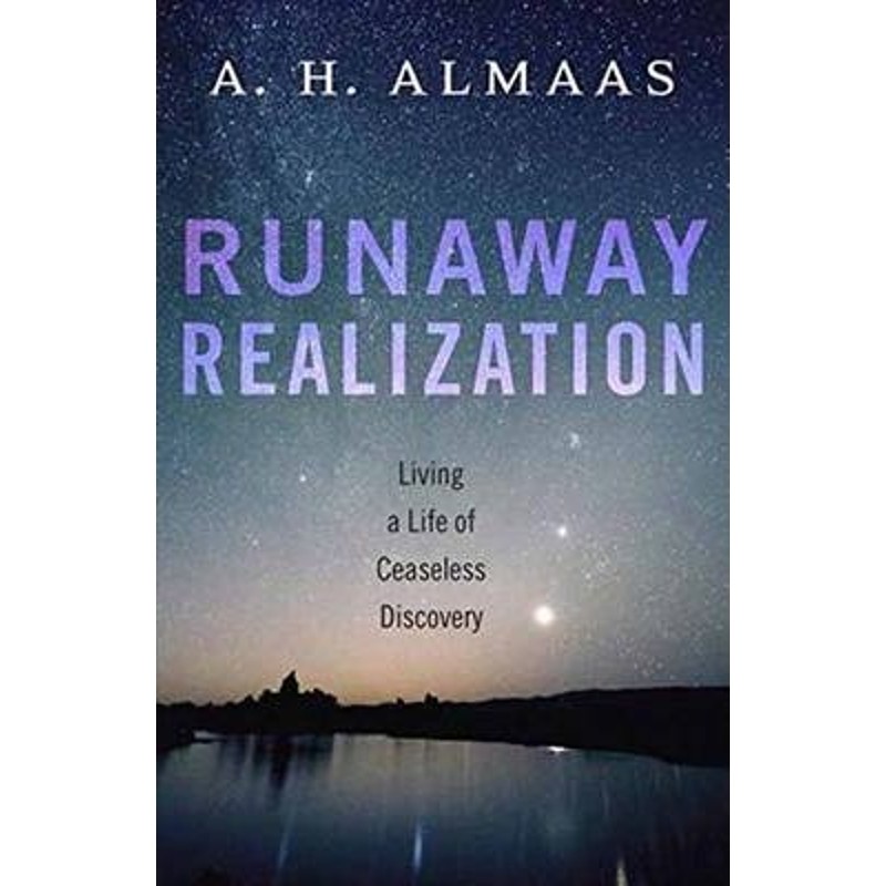 预订runaway realization:living a life of ceaseless discovery