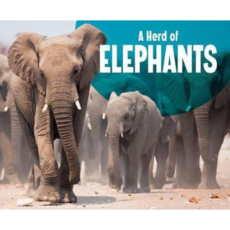 预订，预计下单后2-3周左右发货！