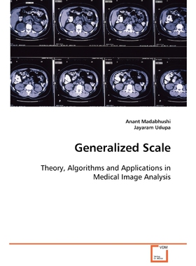 按需印刷不退不换Generalized Scale[9783836473781]