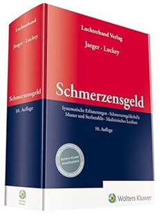 预订不退不换德语Schmerzensgeld