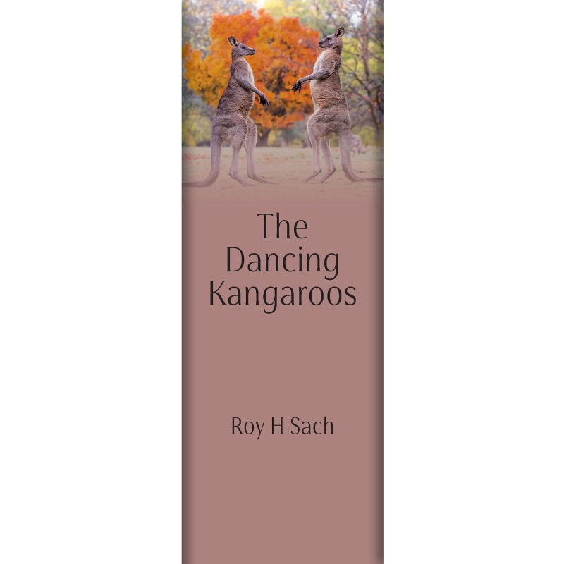 按需印刷不退不换The Dancing Kangaroos[9780648854500]
