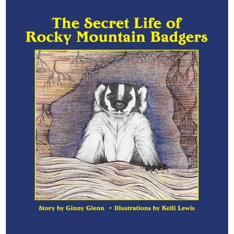 预订，预计下单后2-3周左右发货！