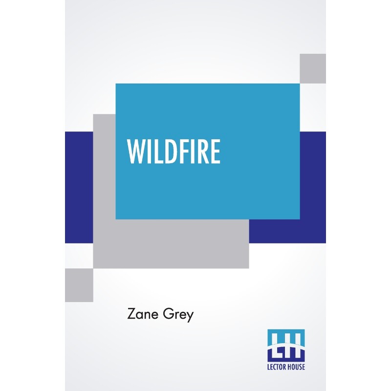 按需印刷不退不换Wildfire[9789389659269]