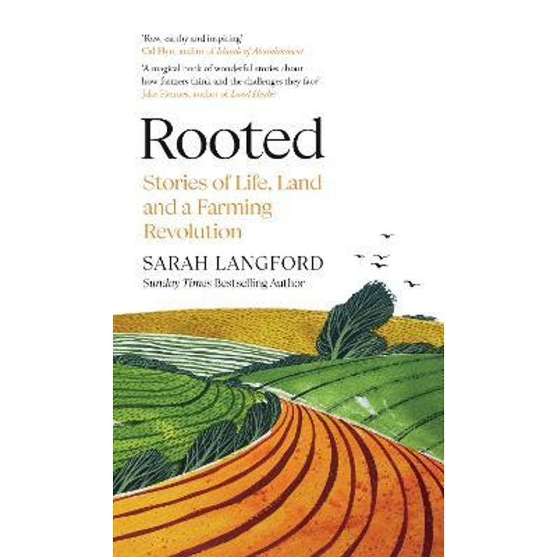 预订，预计下单后2-3周左右发货！