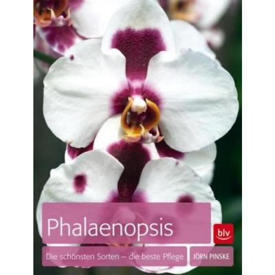 预订【德语】 Phalaenopsis:Die schönsten Sorten - die beste Pflege