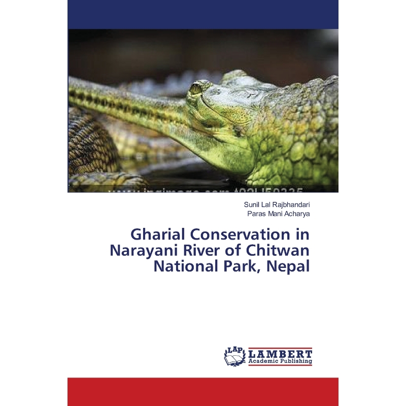 预订，预计下单后2-3周左右发货！