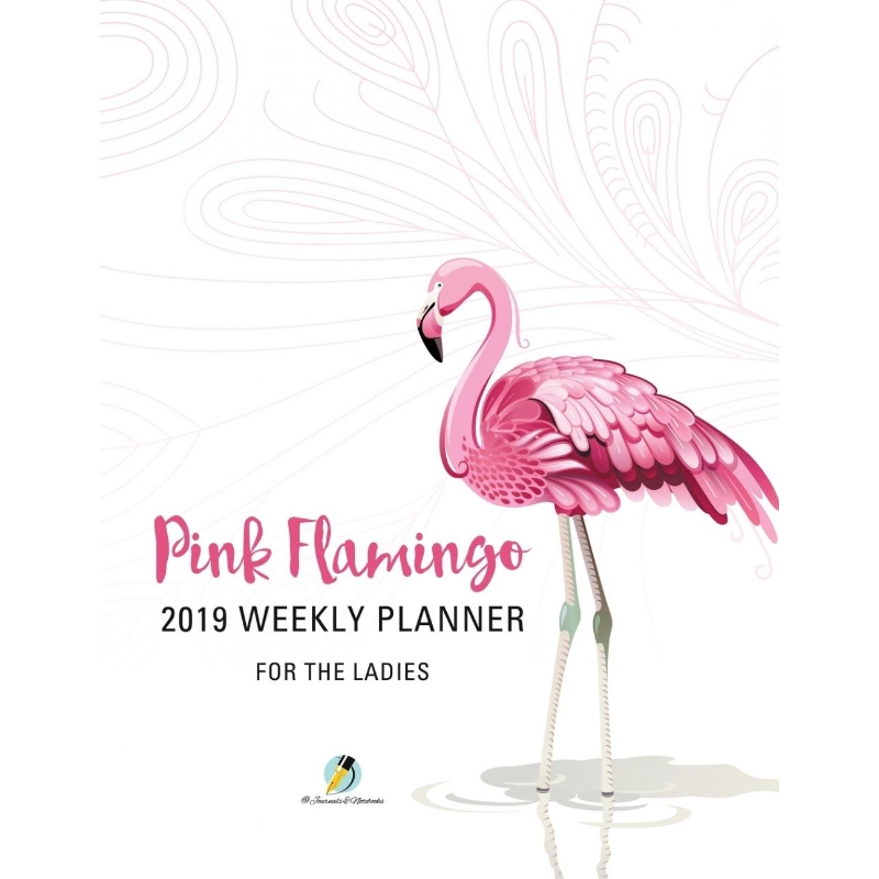 预订，预计下单后2-3周左右发货！