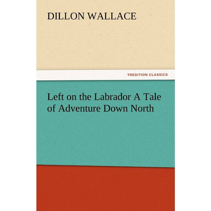 预订，预计下单后2-3周左右发货！