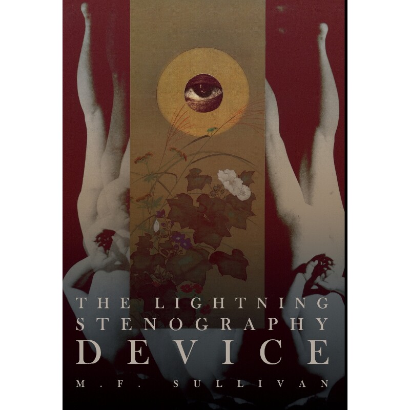 按需印刷The Lightning Stenography Device[9780996539517]