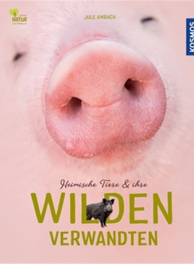 预订【德语】Heimische Tiere und ihre wilden Verwandten[9783440172629]