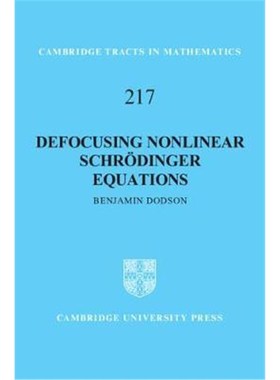 按需印刷Defocusing Nonlinear Schroedinger Equations[9781108472081]
