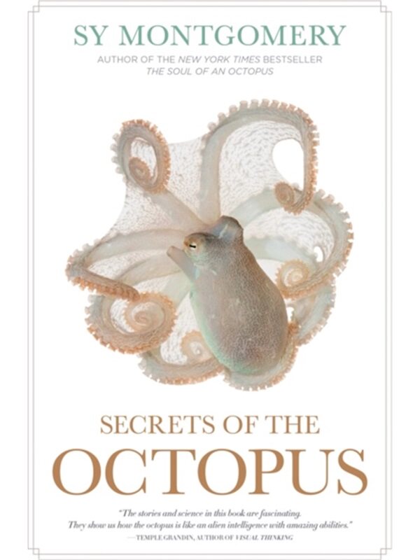 预售【2024新书】SECRETS OF THE OCTOPUS