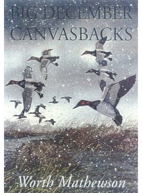 按需印刷Big December Canvasbacks, Revised[9781568331539]