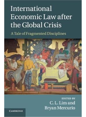 按需印刷International Economic Law after the Global Crisis:A Tale of Fragmented Disciplines[9781107428393]