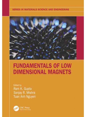 按需印刷不退不换TF Fundamentals of Low Dimensional Magnets[9781032054216]