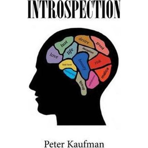 预订，预计下单后3-4周左右发货！