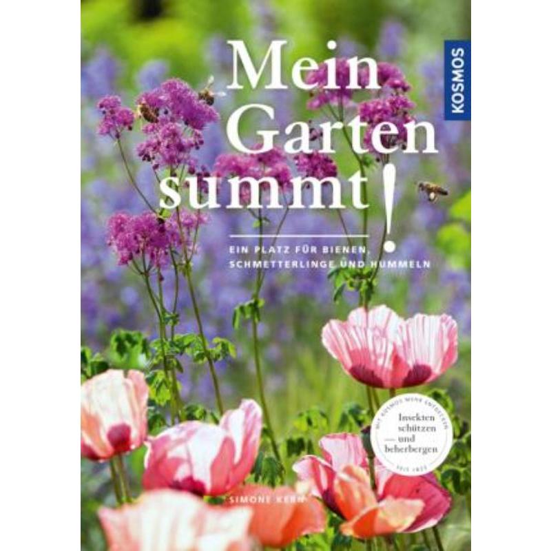 预订，预计下单后3-6周左右发货！