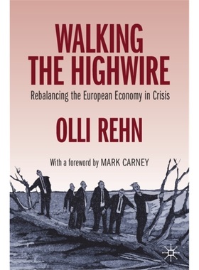预订Walking the Highwire[9783030345914]