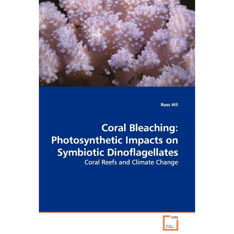 预订，预计下单后2-3周左右发货！