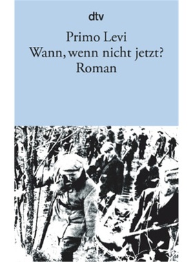 预订【德语】Se non ora, quando?[9783423111171]