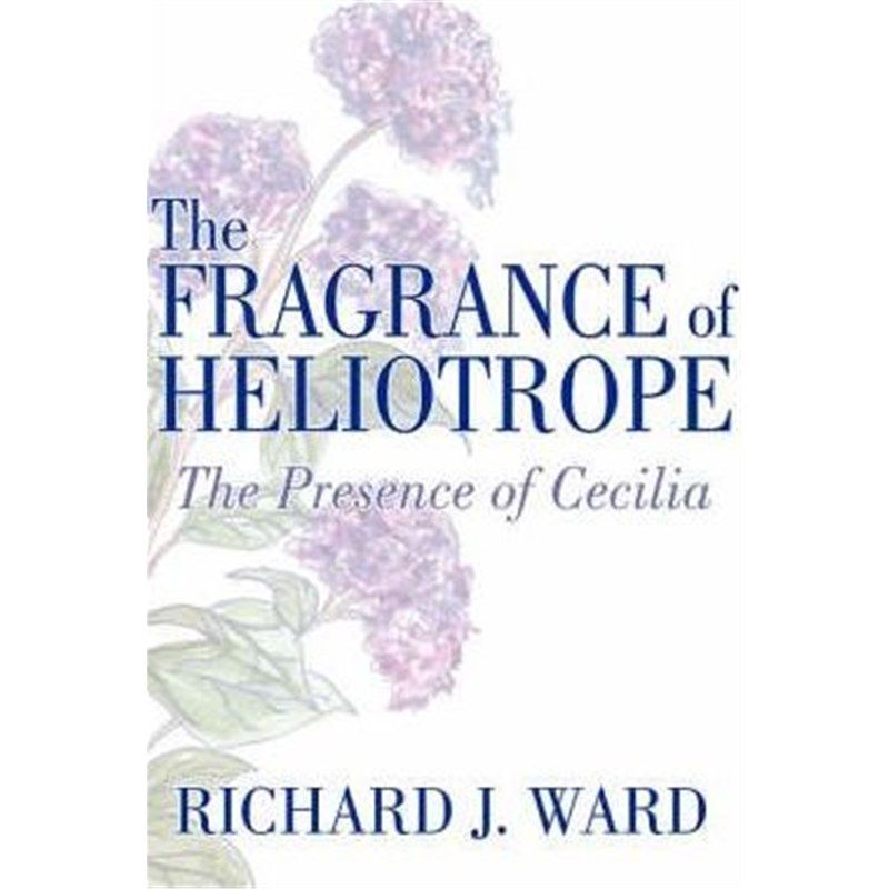 预订，预计下单后3-4周左右发货！