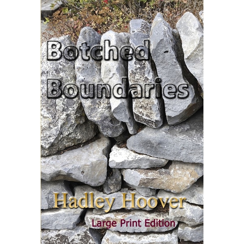 预订，预计下单后2-3周左右发货！