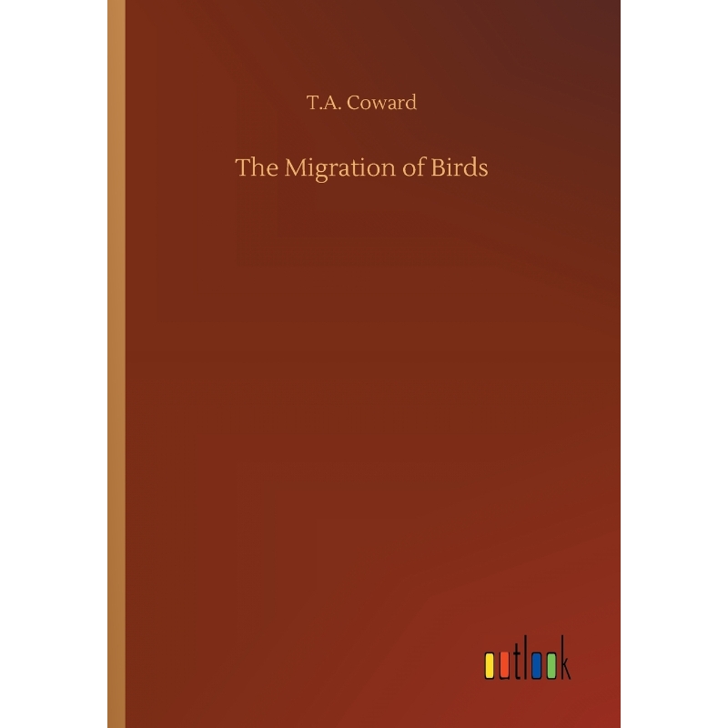 预订，预计下单后2-3周左右发货！