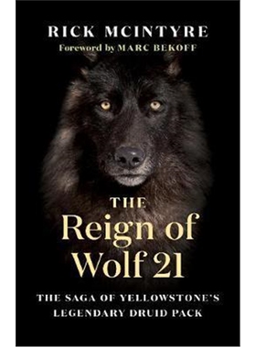 现货The Reign of Wolf 21:The Saga of Yellowstone's Legendary Druid Pack