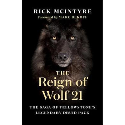 现货The Reign of Wolf 21:The Saga of Yellowstone's Legendary Druid Pack