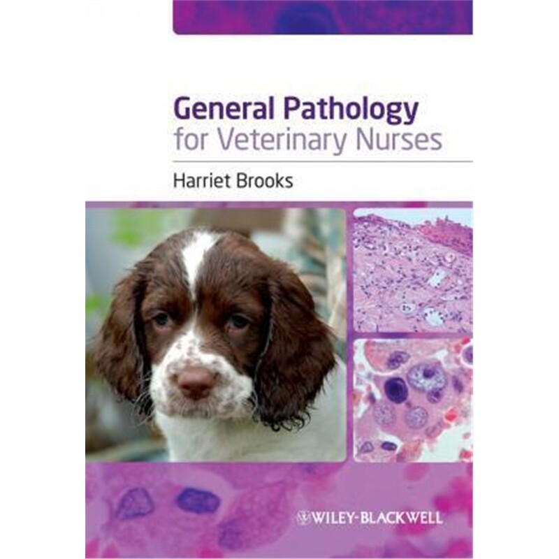 预订图书，下单后3-4周发货！