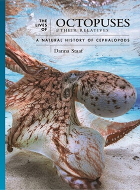 预订Lives of Octopuses and Their Relatives[9780691244303]