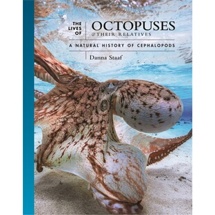 预订Lives of Octopuses and Their Relatives[9780691244303]