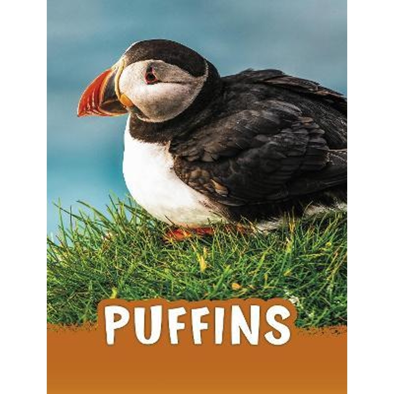 预订Puffins 书籍/杂志/报纸 原版其它 原图主图