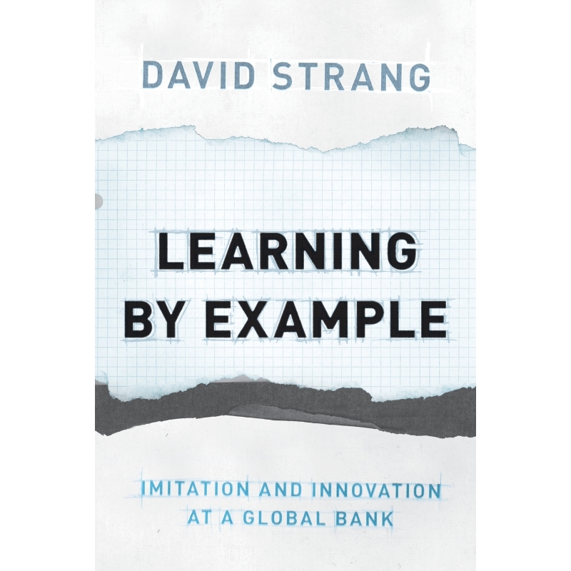 按需印刷Learning by Example[9780691171197]