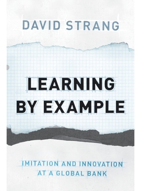 按需印刷Learning by Example[9780691171197]