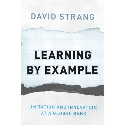 按需印刷Learning by Example[9780691171197]