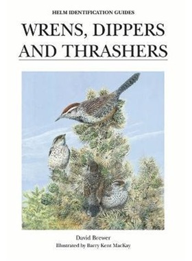 预订Wrens, Dippers and Thrashers[9781873403952]