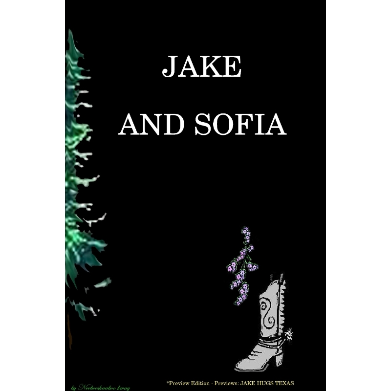 按需印刷JAKE AND SOFIA Soft cover- preview edtion[9781365834684]